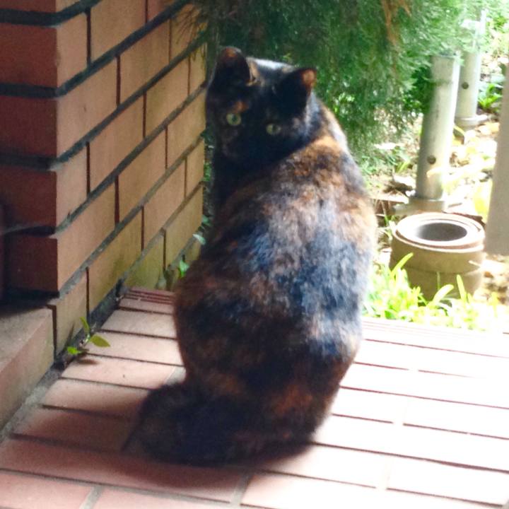 8563ce4a 28bc 4194 81f0 683e596c75ef