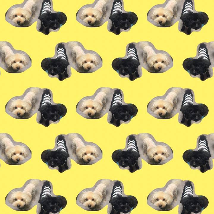 85646018 a96e 476b 8f80 34cc69c09540