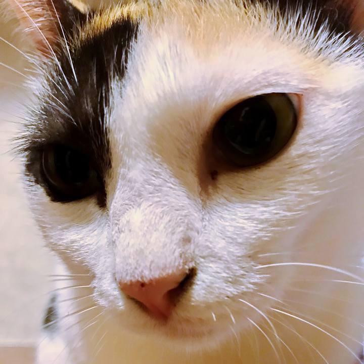 8564899c 45bd 4de8 b47a c8a8c6d017f4