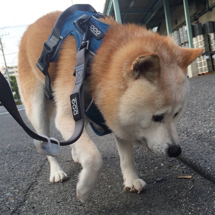 8564978d a9c2 435c bd6b a5d19b4b6168