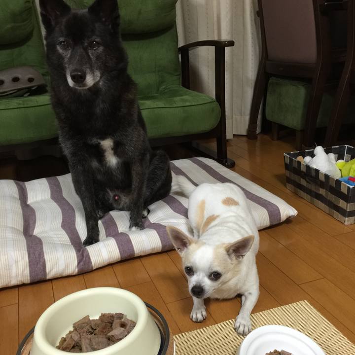 8564bd00 6c0c 423a b3c1 0f15cf93b0f5