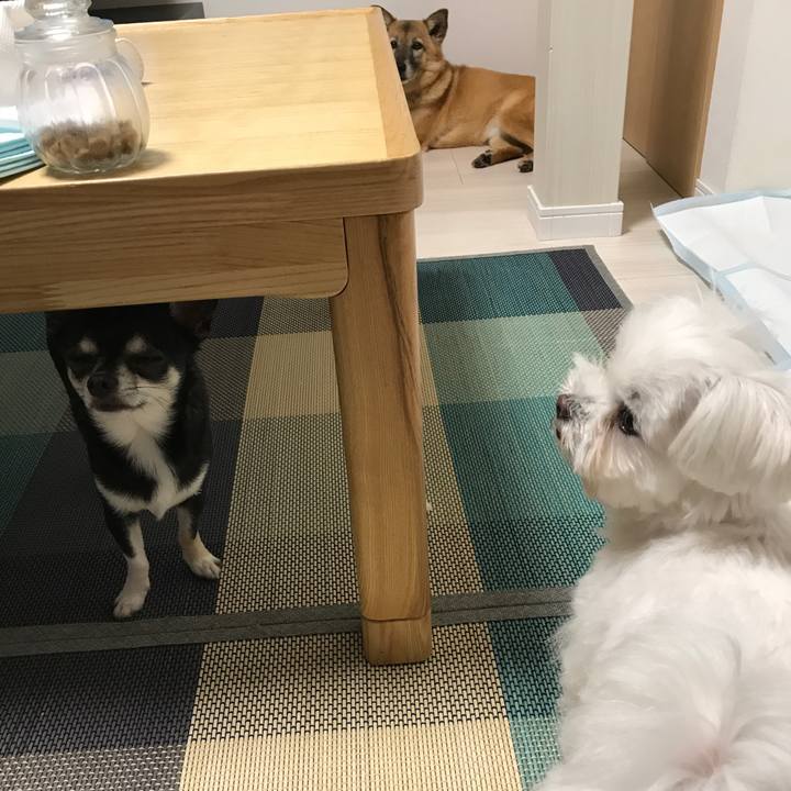 85651922 9b27 48b7 89d8 d770a53f67ed