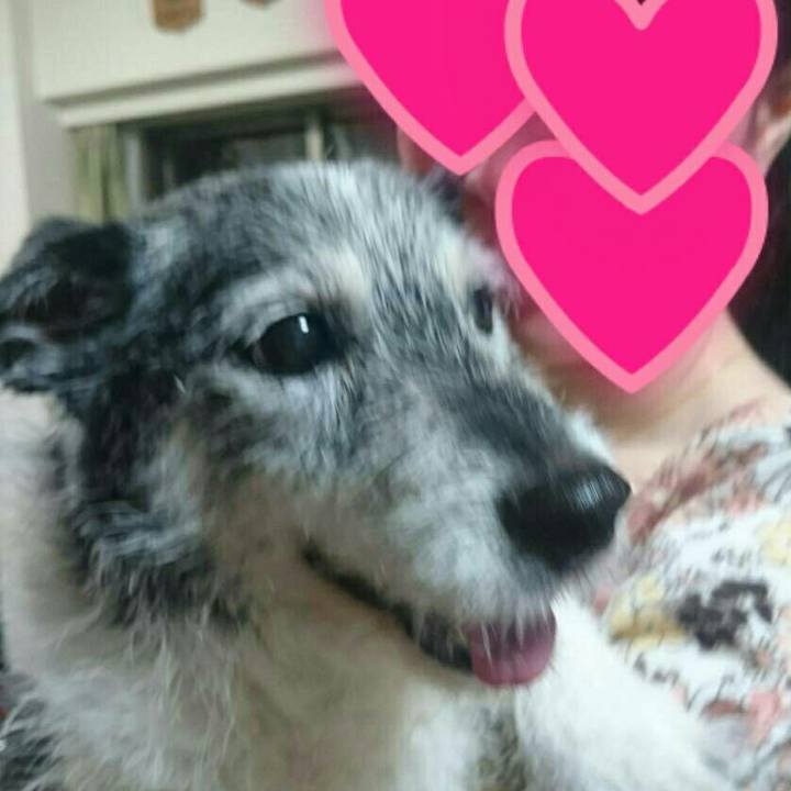 85655e33 98a4 4dd3 a1a0 1f8cf899354d