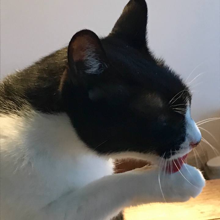 856566ef a0fd 48ac a319 27be4bbc4fd9