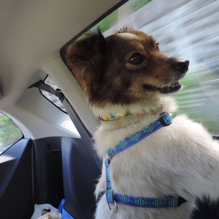 85659acd df29 4f9b 81b6 815684e9d83d