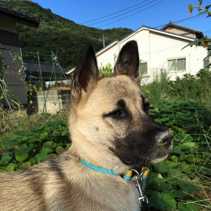 8565d9b7 5e82 44f3 bac1 8423da864d05