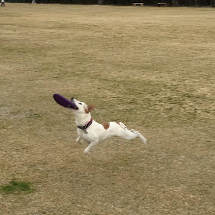 8565f0df b175 4976 a097 52632c2c201f