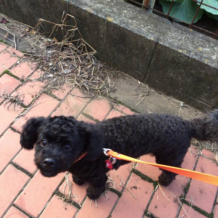 8566e5a9 6f01 41f8 adcd 6847e7c0e95f