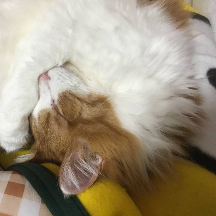 856739c2 03fe 41fb b044 948487d5d867