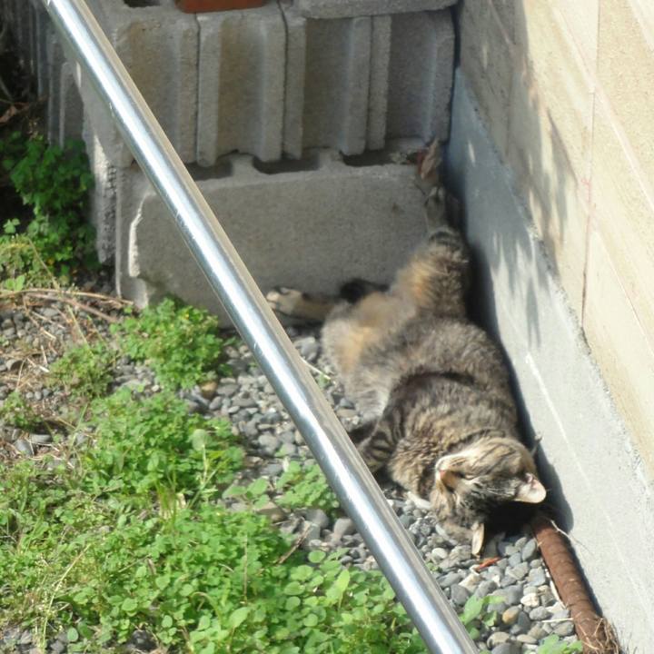 85675a93 70d1 47f2 b529 7585d5201d08