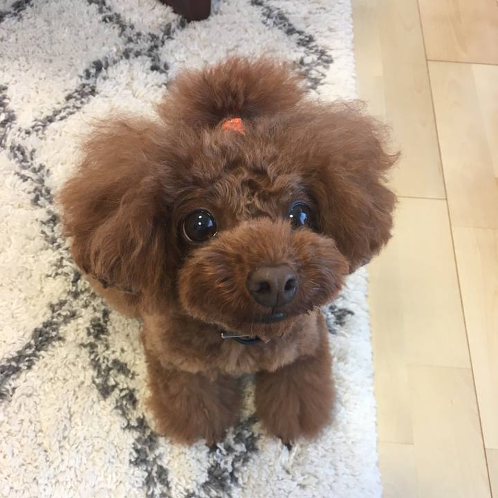 8567638a b3e4 448c bb52 d02c7abc6091