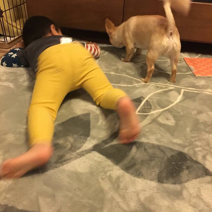 856838d3 bd2a 48ae ab02 d7508102e56e