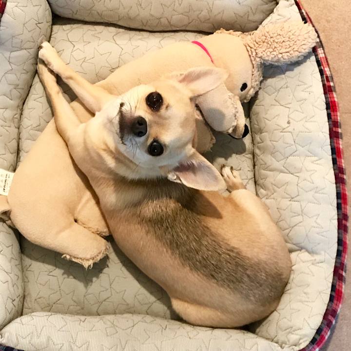 8568a289 57dc 458b 9f02 65d52216fd88