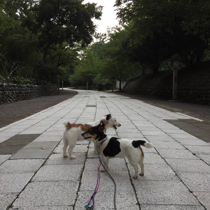 8568badf e83f 4885 8371 b64a0df794a8