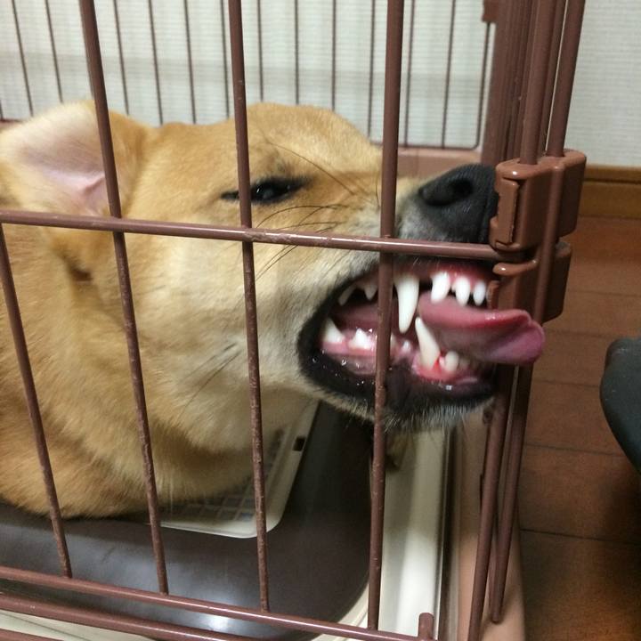 8569d86e 769e 4859 b367 7ec7c8ec44c3