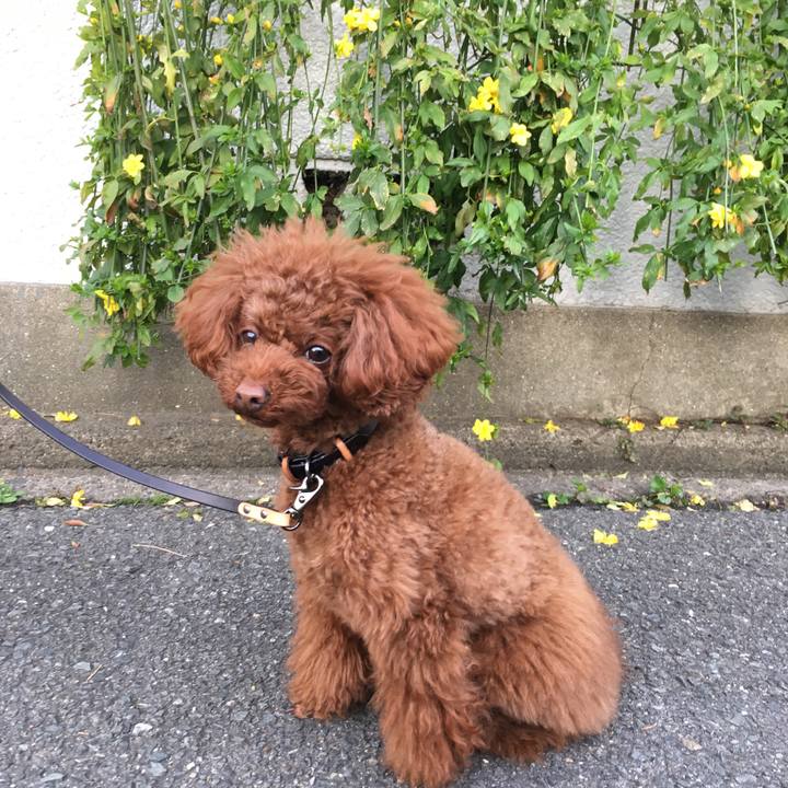 8569daa7 426f 408d a036 cd4fe173c65f