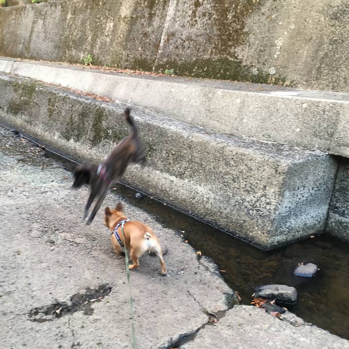 8569f451 678b 4fae 9fca 2862e101bb34