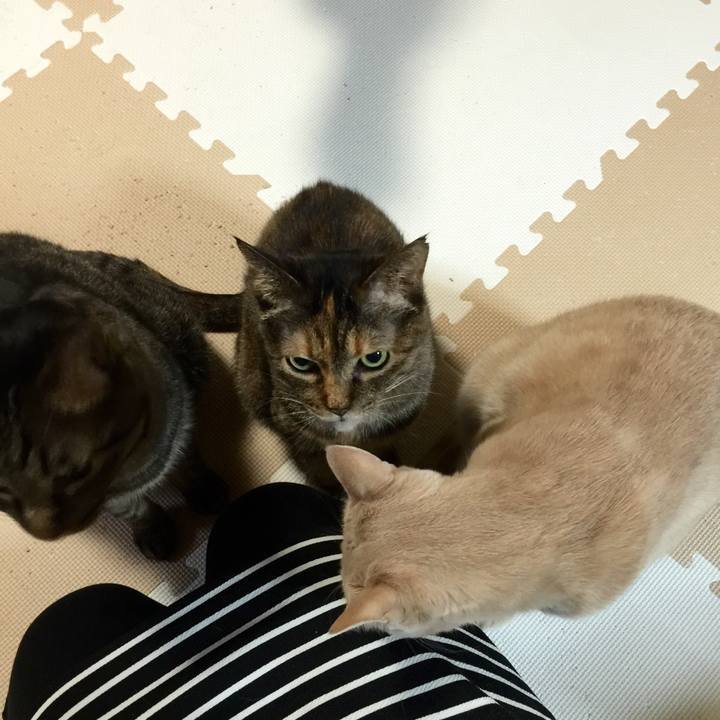 856a503b f3d5 465f 9d00 d2958c6a3441