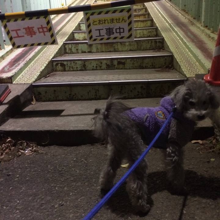 856a5c93 a6de 43bd a96e 1f513a7c7ec6