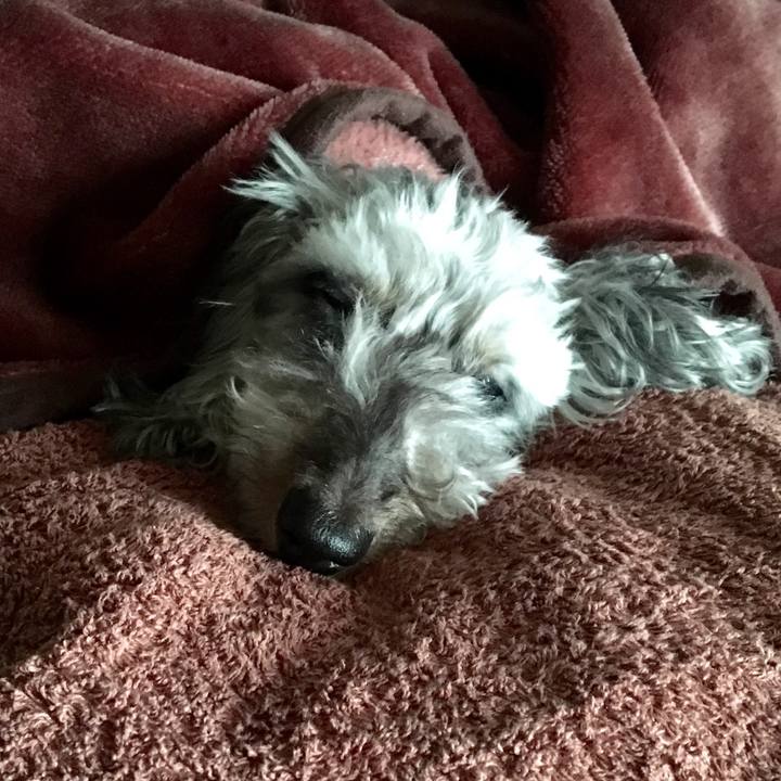 856b5913 18cf 42bf 87d5 5ea50857c199