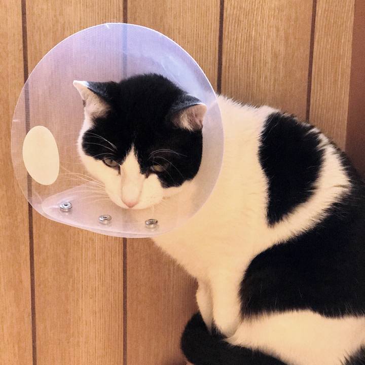 856bbd90 df2b 4c81 95d9 b7d59ec032f6