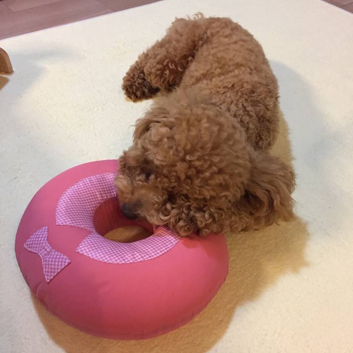 856c1637 8434 4276 bbe6 fb24a756d45b