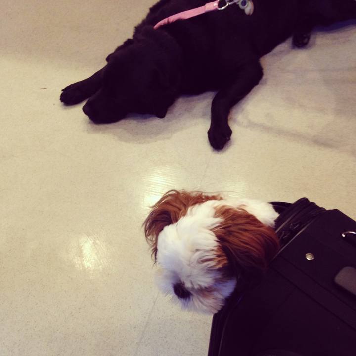 856c5b97 5dd1 435b 8717 7d7db31c4ccf