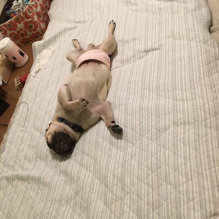 856c7ae8 c31d 4d74 89df 19bc1b3eb239