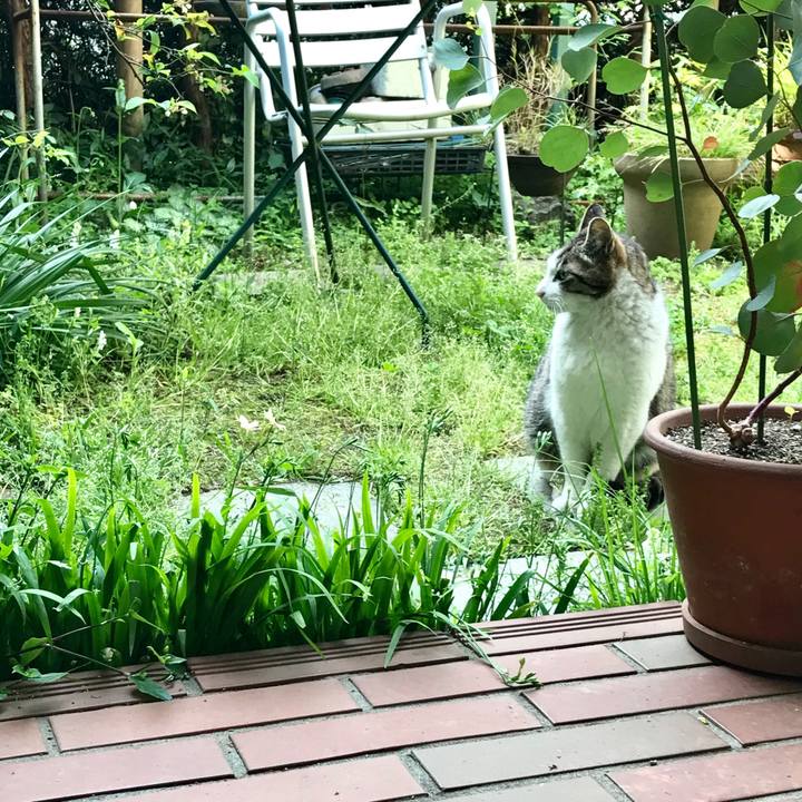 856d0460 a5d9 4711 ba52 075246bcb951