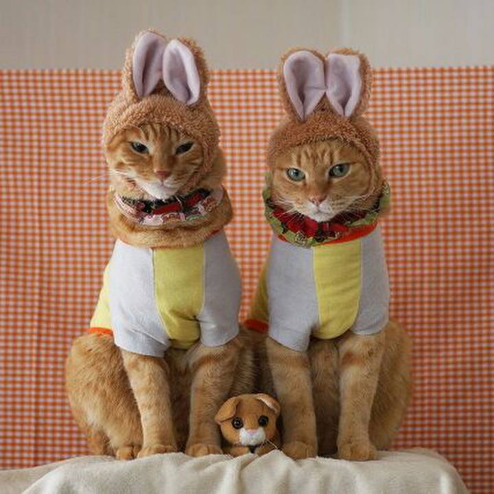 856d1b3b 0956 4058 8798 1042f6908549