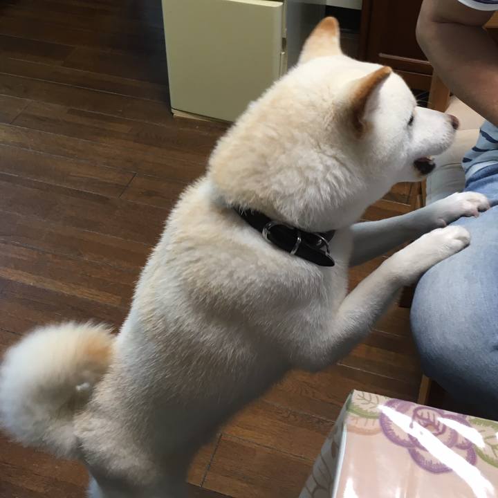 856d6a86 c979 477a af72 879b3f7dd107