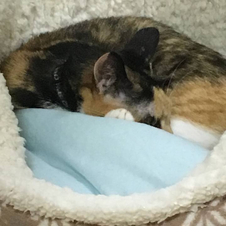 856db696 7c8e 4d5e a443 32c9a438bf81