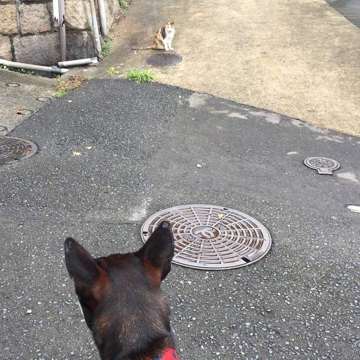 856e67c2 9685 4db4 a1c0 6660520a7efd