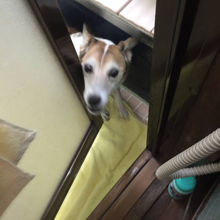 856f37e0 e16a 4822 8ce5 2c5260758a2a