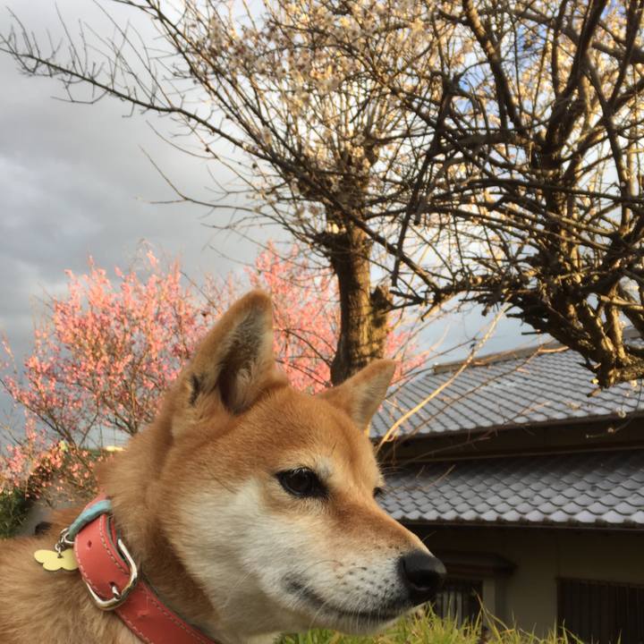 85708ea2 31f4 470b b02b f55724927210