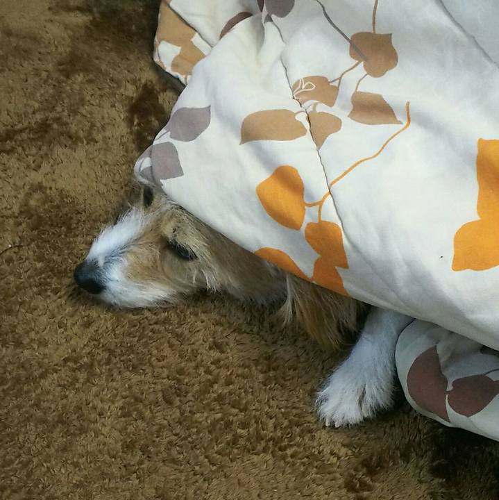 8570bd30 b4c2 40c5 9074 fea2d59ddf8a