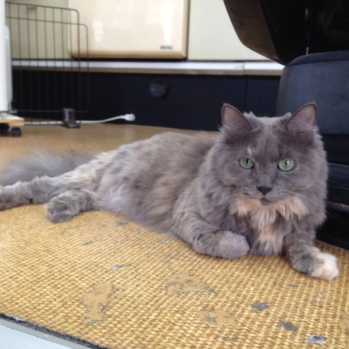 8570e039 4ee9 4301 9520 58e63e491a40