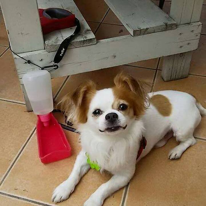 8570f336 26ef 462a 9016 29b3920631fa