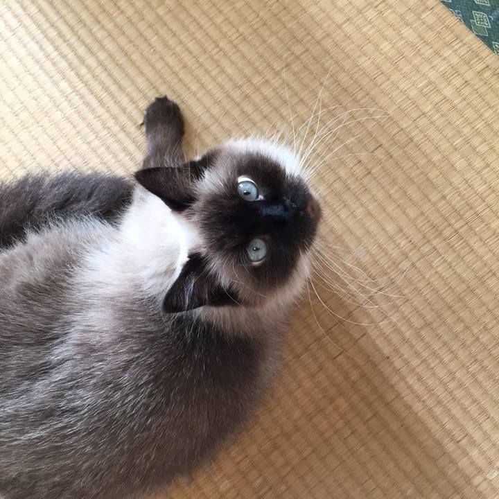 85718bb5 4e1b 461f 9fa4 76391e1d7e1f