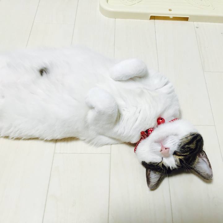 85718e88 98a8 47a4 97d2 39559e911b24