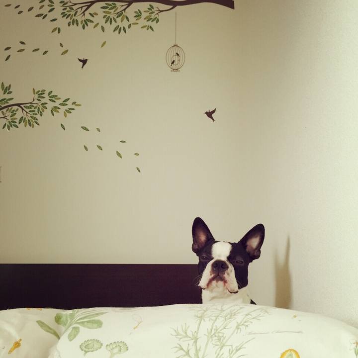 8571ad69 0545 411e 9581 7541e35f4aa4