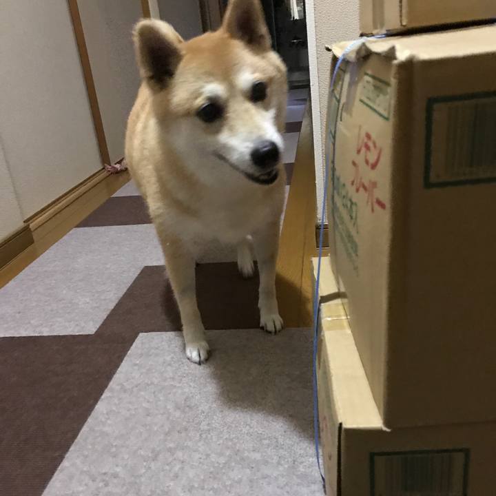 8571d538 2d38 4ce6 9d66 beb8ca998ff8