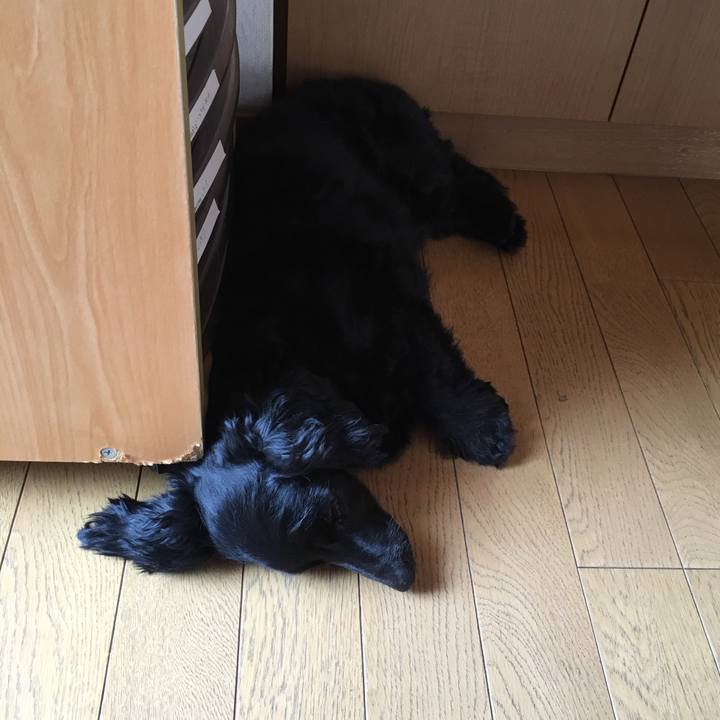 85733af4 8965 4fa7 bc9f d93eb5ee9da9