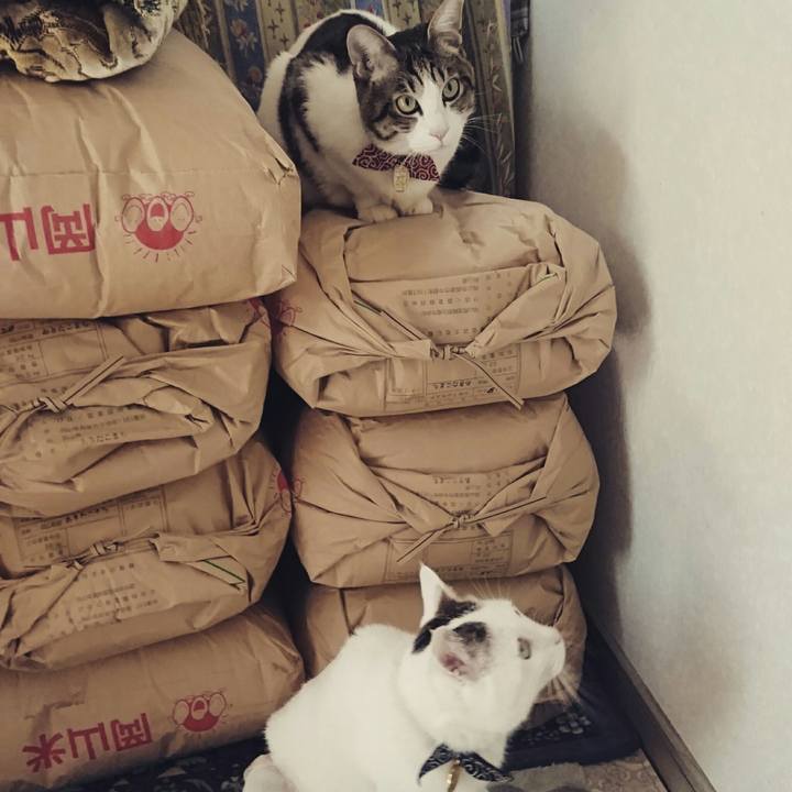 8573d3e6 1ddd 493d 949c 34a02199830b