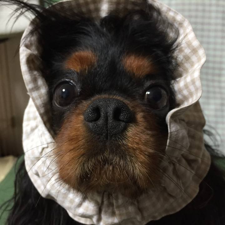 85741598 5f94 4cd3 a01e 628e15c49839