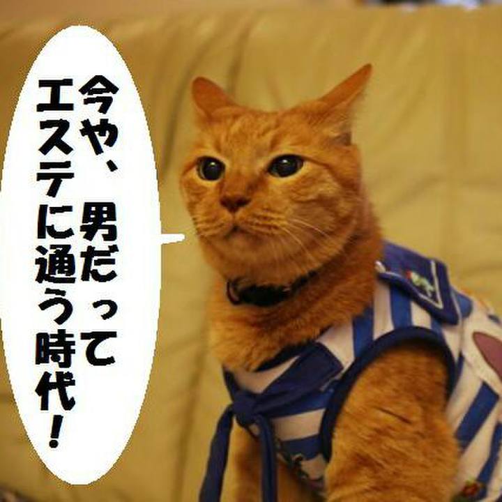 85749501 f242 44e5 9f8e 8ae9244b9302