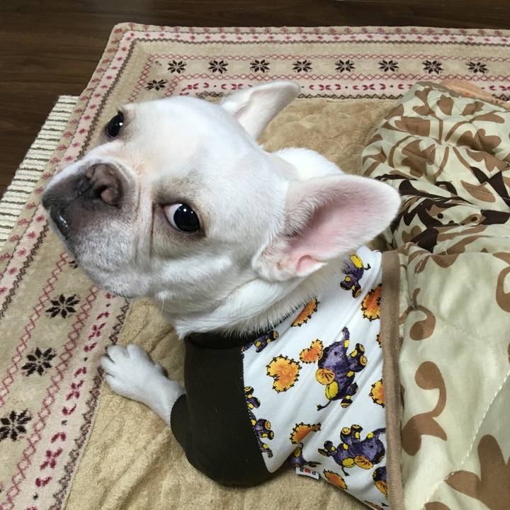 8574e63d f339 4182 8786 25d47d61d2fb