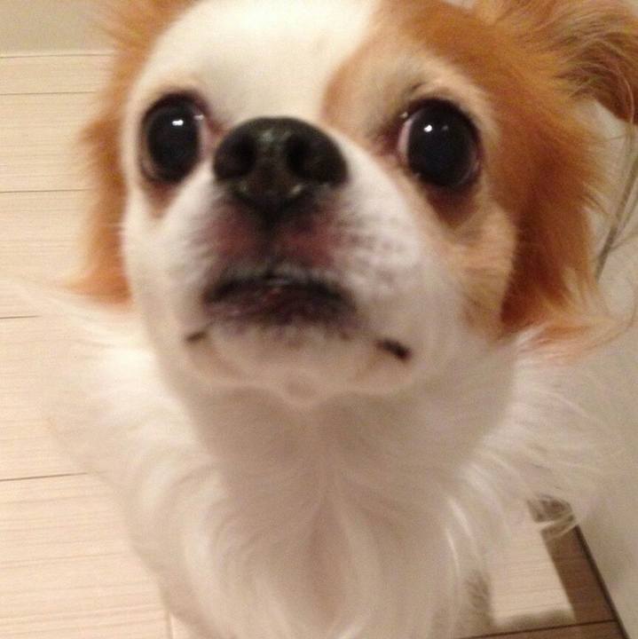 8574e798 8254 4684 86ba 6622454766f1