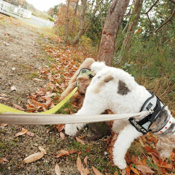 8574eec6 37cc 4cb1 a2ef a6698a8e37f2