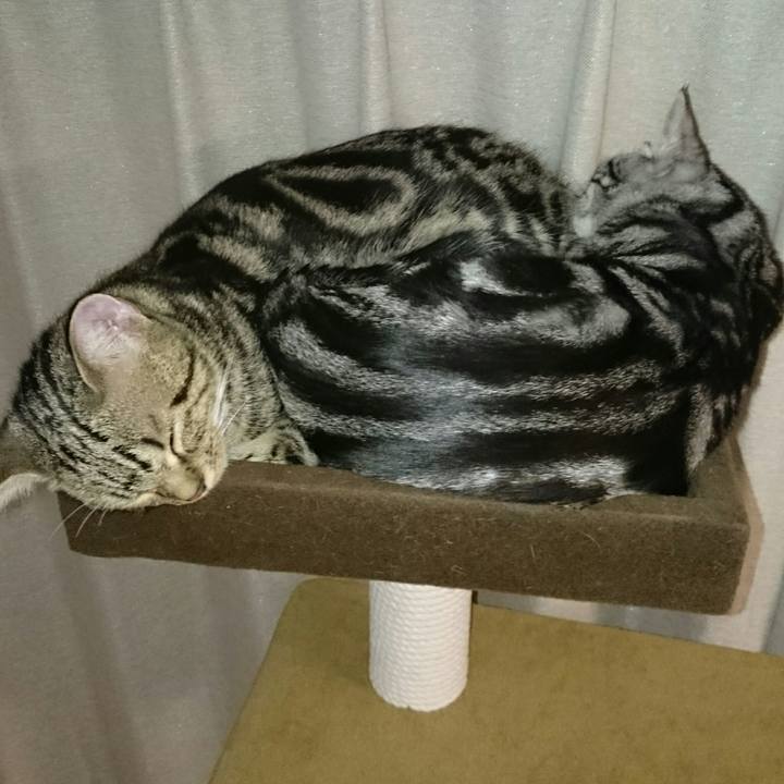 85752fa3 c9fd 49b6 b2b3 451ef1adf439